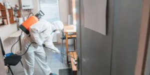 Operatore specializzato disinfesta una stanza della casa con prodotti specifici Operatore specializzato disinfesta una stanza della casa con prodotti specifici