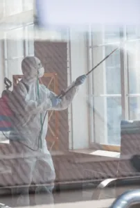Come liberarsi dalle pulci Come liberarsi dalle pulci