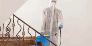 Ditta effettua disinfestazione scarafaggi sulle scale di un condominio Ditta effettua disinfestazione scarafaggi sulle scale di un condominio