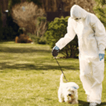 Disinfestare allontana cane dall'area infestata dalle processionarie poiché può essere pericoloso