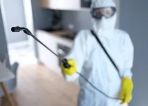 Costo disinfestazione falene professionale