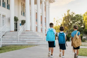 Prezzo disinfestazione scuole Prezzo disinfestazione scuole