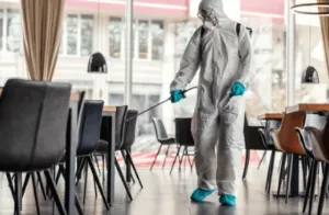 Normativa sulla disinfestazione ristorante Normativa sulla disinfestazione ristorante