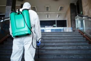 Normativa della disinfestazione nelle scuole Normativa della disinfestazione nelle scuole