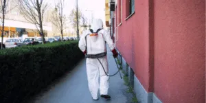 Operatore effettua disinfestazione delle formiche all'esterno
