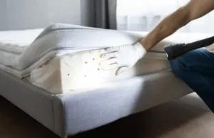 Dove si nascondono le cimici del letto Dove si nascondono le cimici del letto