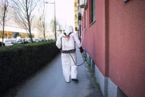 Motivi per effettuare disinfestazione condominiale Motivi per effettuare disinfestazione condominiale