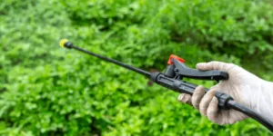 Soluzione anti zanzare spruzzata sulle piante intorno alla casa Soluzione anti zanzare spruzzata sulle piante intorno alla casa
