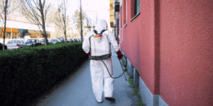 Operatore disinfetta cortile dagli scarafaggi con prodotti non tossici
