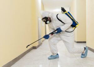 Operatore effettua derattizzazione in un edificio pubblico