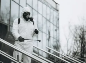Servizio professionale disinfestazione spa Servizio professionale disinfestazione spa
